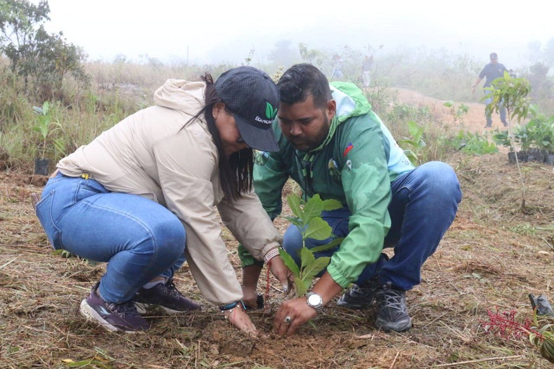 Reforestan el país con más de 47 mil plantas