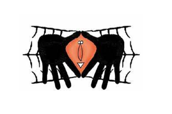 Araña feminista | Aquí somos Caribe
