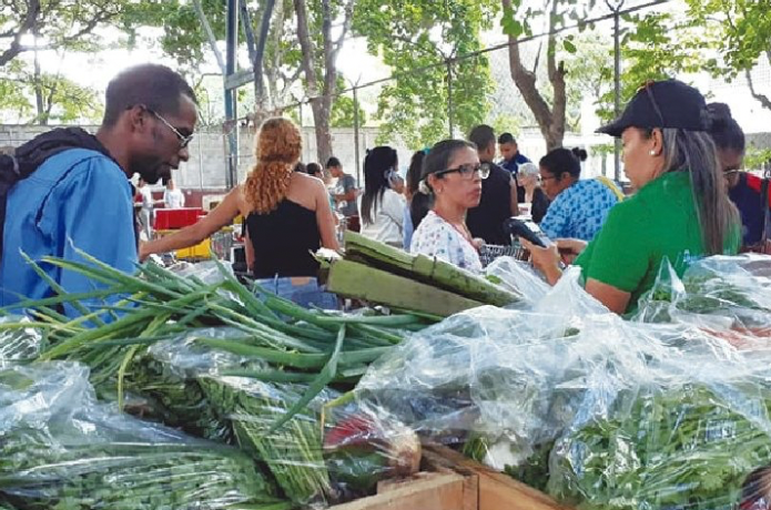 Habitantes de El Valle participaron en jornada navideña