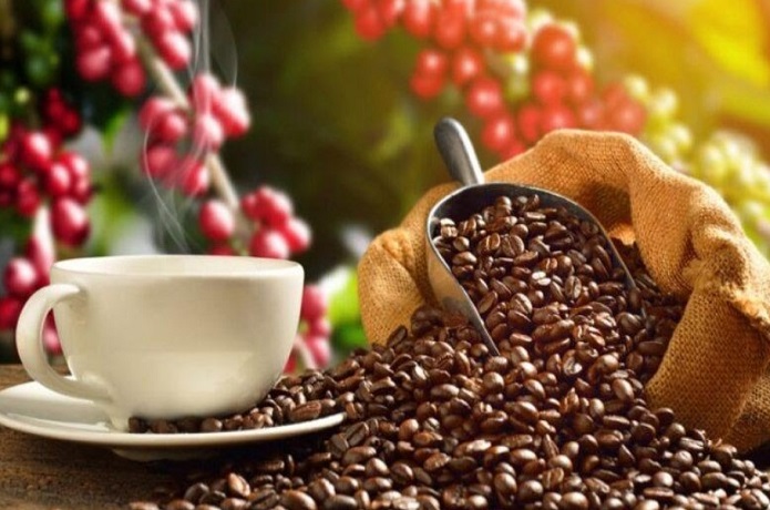 Abren Inscripciones para la subasta de los 10 mejores cafés del país