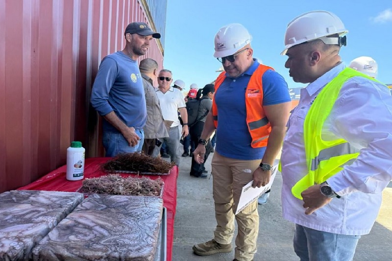 Venezuela exporta 306 toneladas de algas a Chile y Túnez