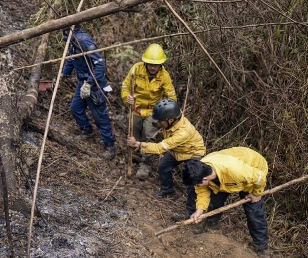 Bomberos de Miranda extinguen incendio en Parque Nacional Macarao