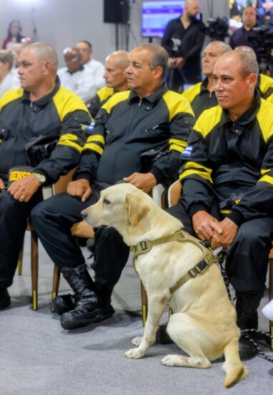 Confornadas por Brigadas caninas, m&eacute;dicos quir&uacute;rgicos, peritos forenses e ingenieros.